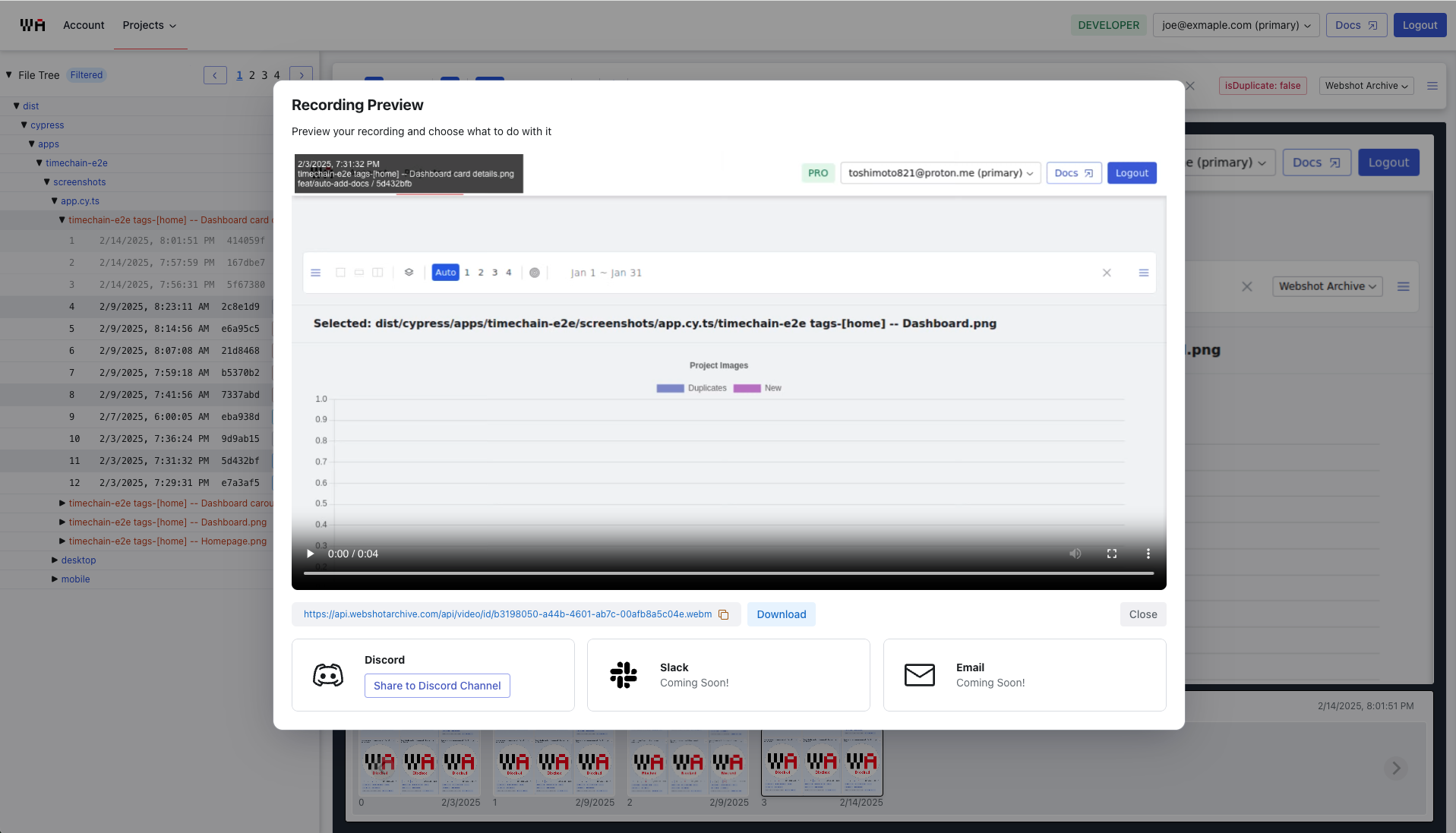 Discord Clip Details